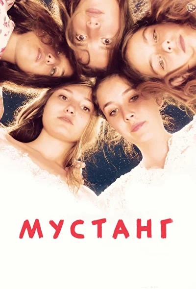 Постер к фильму Мустанг