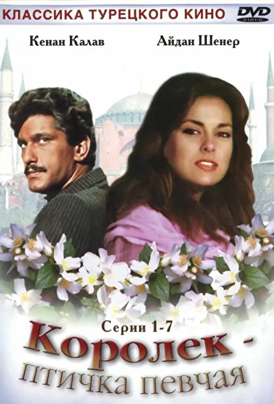 Кадры из сериала Королёк – птичка певчая